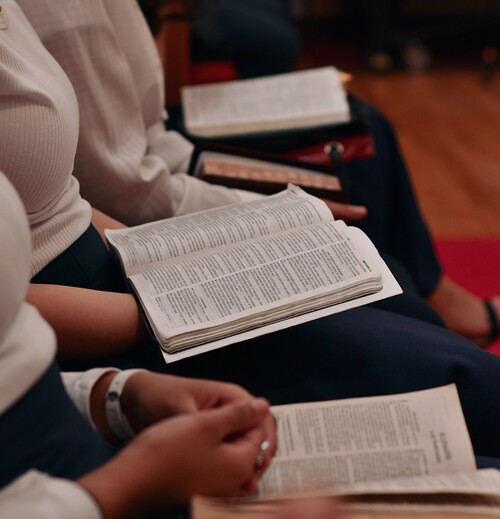 PARA QUEM AMA A MENSAGEM DE CRISTO