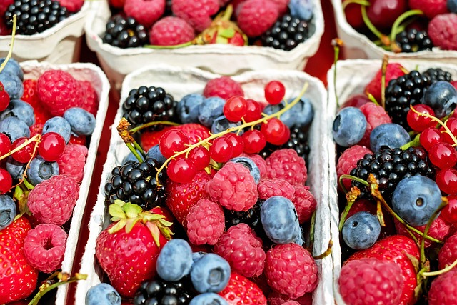 ELE NÃO O DEIXARÁ SEM FRUTOS