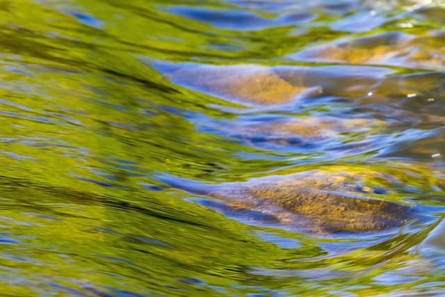 MOVIMENTO NATURAL DO REINO DE DEUS